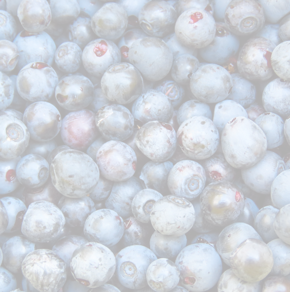 Grand Opening Specials